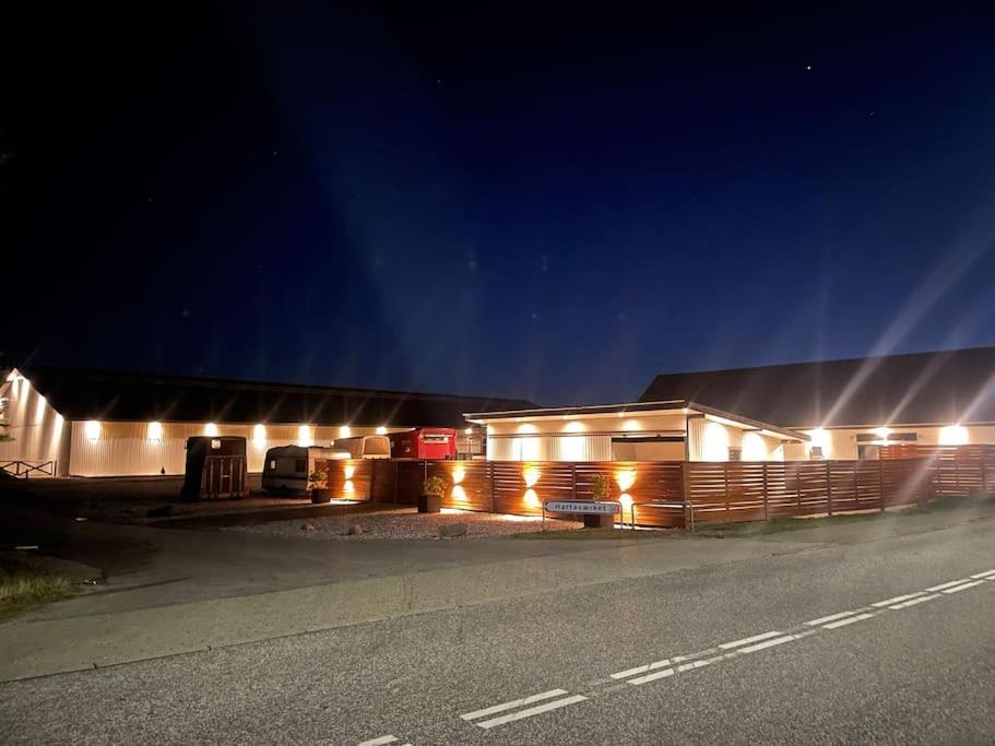 Stor Rummelig Lejlighed Med Egen P-Plads Kolding Zewnętrze zdjęcie